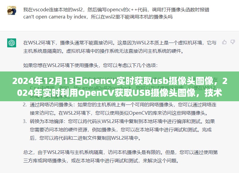 技术指南与案例分析，利用OpenCV在2024年实时获取USB摄像头图像