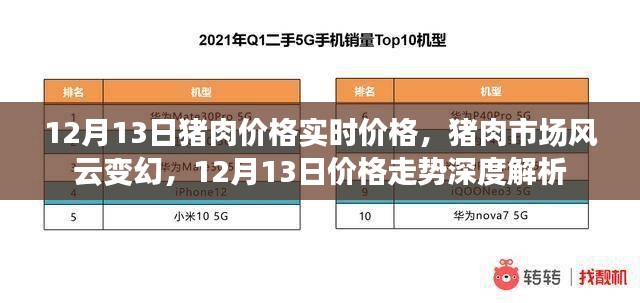 12月13日猪肉实时价格解析，市场风云与走势深度探讨