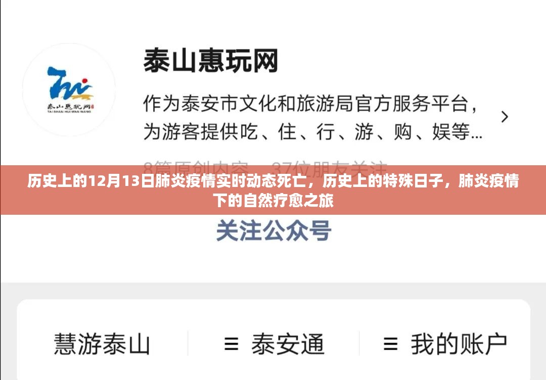 肺炎疫情下的自然疗愈之旅，历史上的特殊日子与实时动态死亡回顾