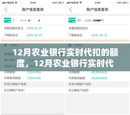 农业银行12月实时代扣额度深度解析与观点探讨
