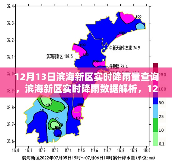 滨海新区12月13日实时降雨数据解析与雨情回顾