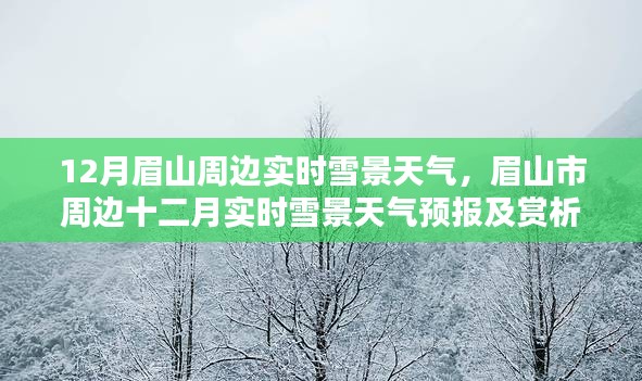 眉山周边十二月实时雪景，天气预报与赏析