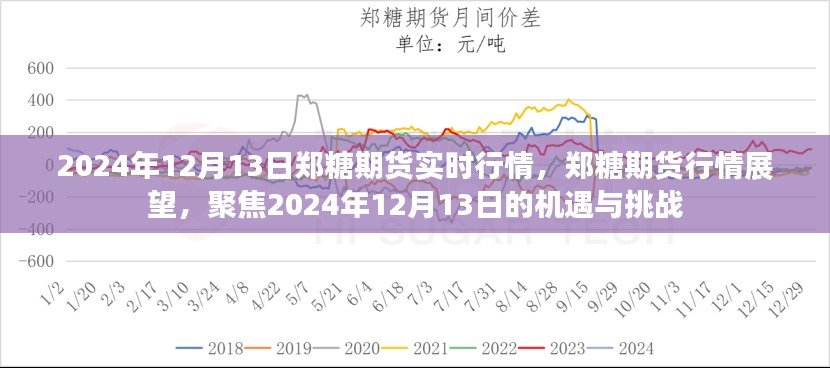 2024年12月17日 第6页