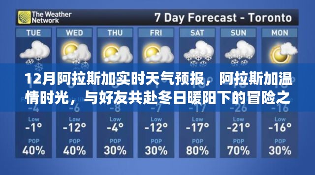 阿拉斯加冬季冒险之旅，与好友共赴暖阳下的温情时光与实时天气预报