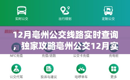 独家攻略，亳州公交12月实时查询指南，轻松规划出行路线