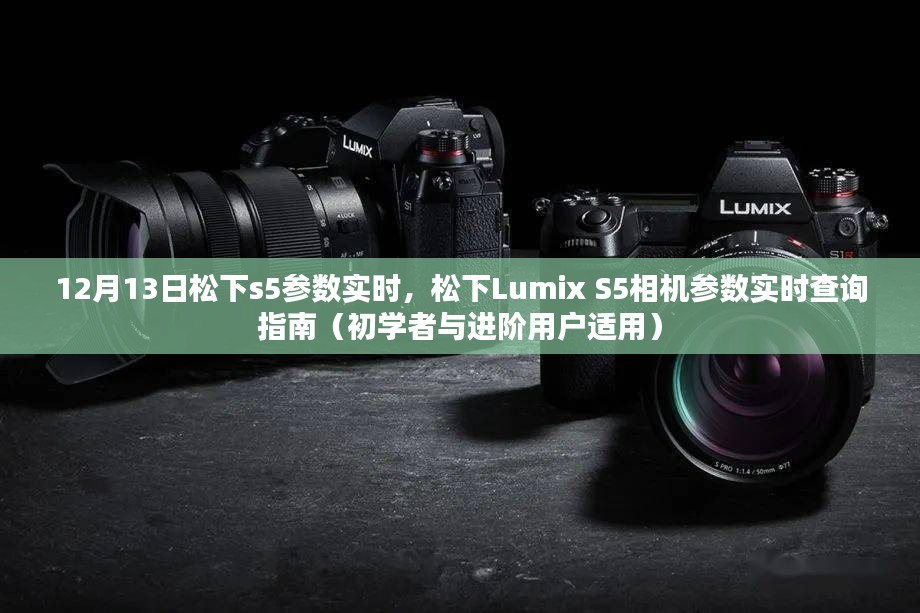 松下Lumix S5相机参数实时查询指南，适合初学者与进阶用户的全面指南（12月13日更新）