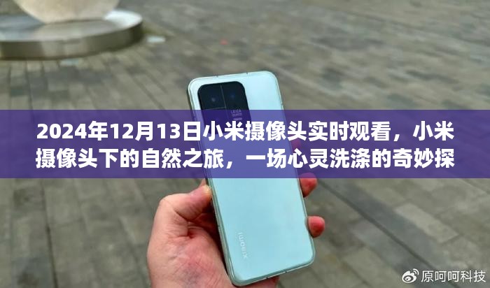 小米摄像头下的心灵洗涤之旅，自然探险启程