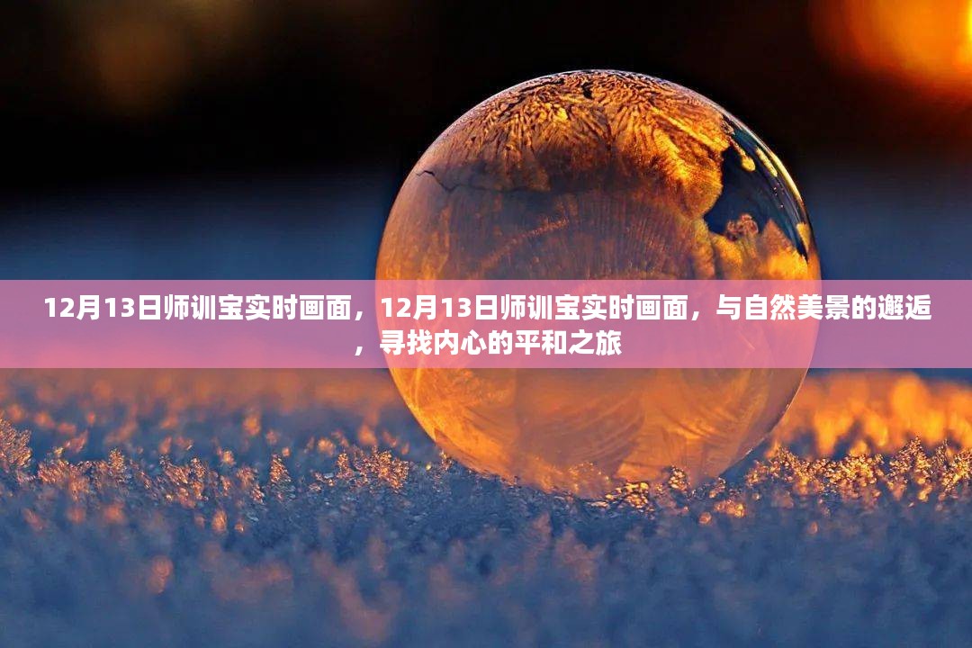 12月13日师训宝实时画面，与自然美景的邂逅，心灵平和之旅启程