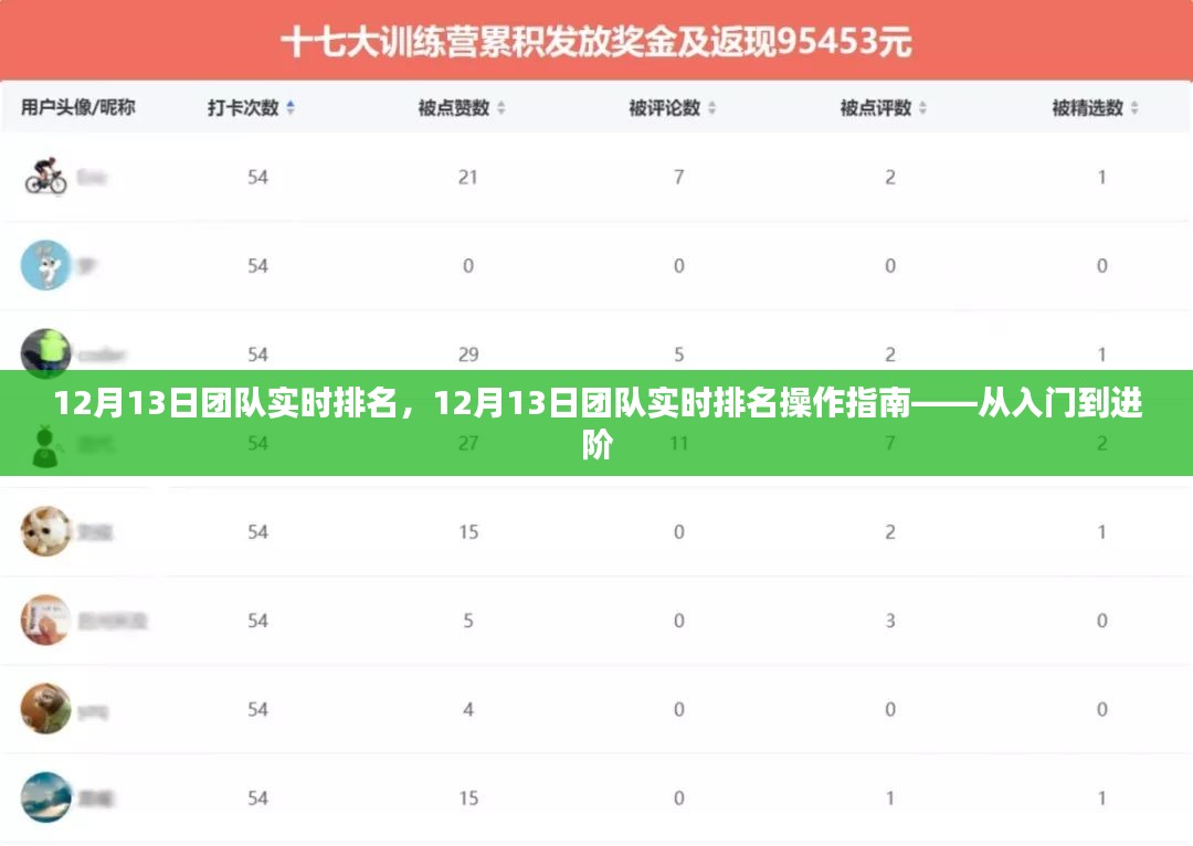 12月13日团队实时排名操作指南，入门到进阶全攻略