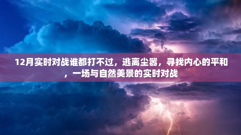 2024年12月19日 第12页