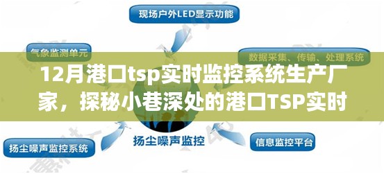 探秘港口TSP实时监控系统生产厂家的秘密，小巷深处的港口监控技术专家