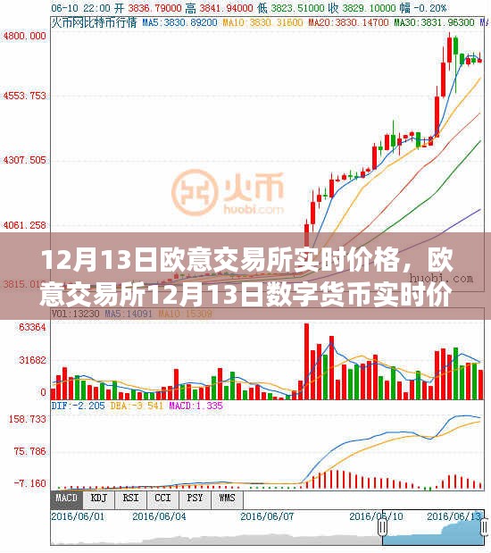 欧意交易所12月13日数字货币实时价格深度解析及走势探讨