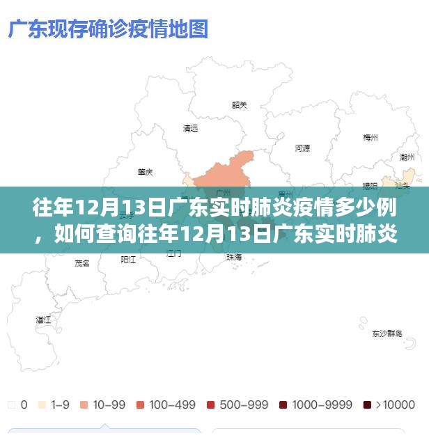 如何查询往年12月13日广东实时肺炎疫情数据？操作指南与最新疫情数据解析