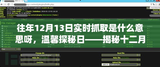揭秘十二月十三日实时抓取，探寻数据背后的故事之旅