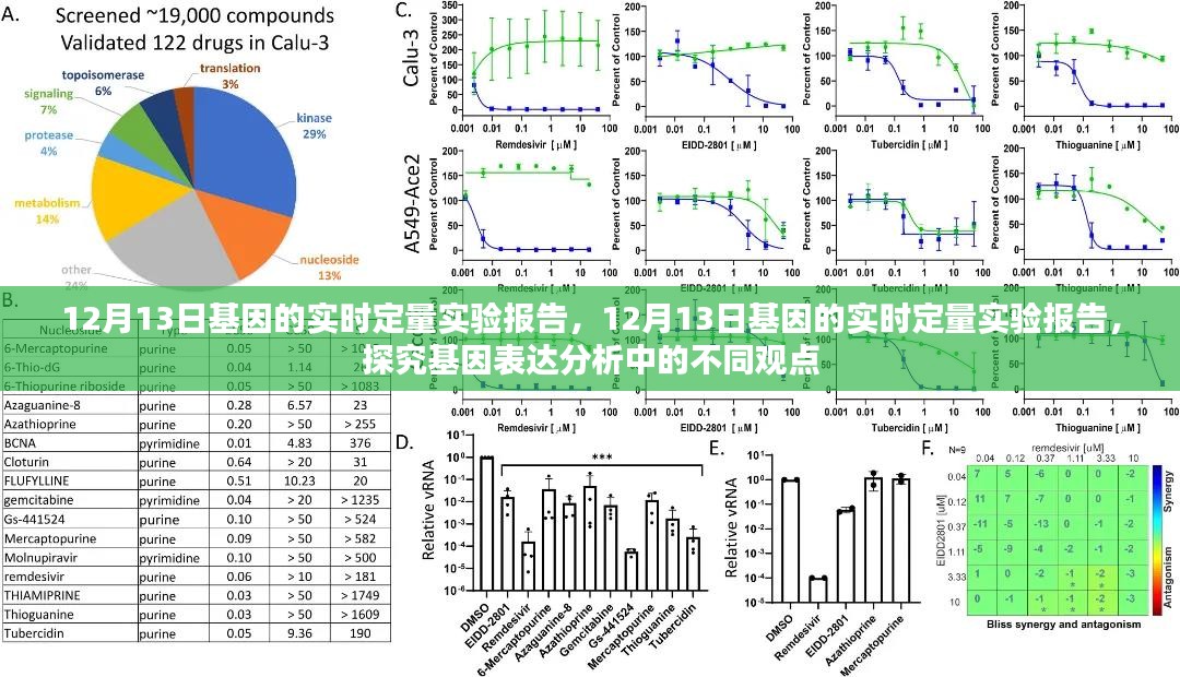 基因表达分析的不同观点，实时定量实验报告详解（日期，12月13日）