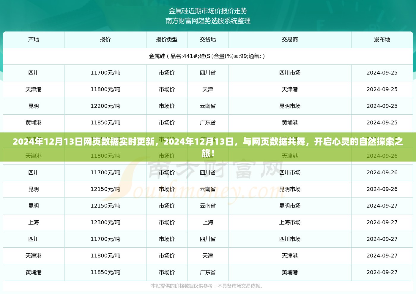 2024年12月13日实时网页数据更新，开启心灵探索之旅