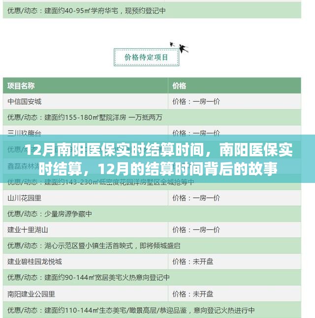 揭秘南阳医保实时结算背后的故事，揭秘12月结算时间背后的真相