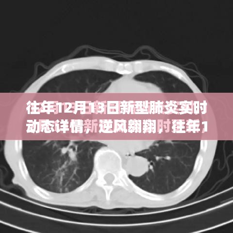 逆风翱翔，往年新型肺炎动态下的学习与成长纪实——以十二月十三日为例