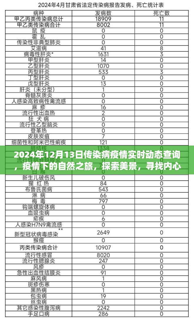 疫情下的自然之旅，探索美景，寻找内心力量与平静 —— 2024年传染病疫情实时动态查询