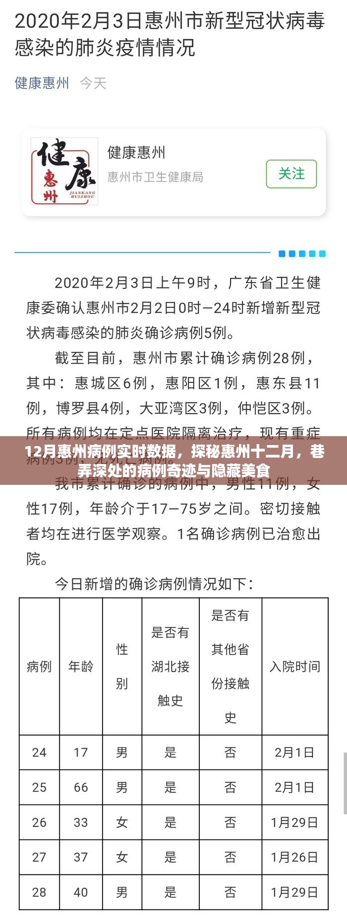 探秘惠州十二月，病例实时数据与巷弄深处的美食奇迹