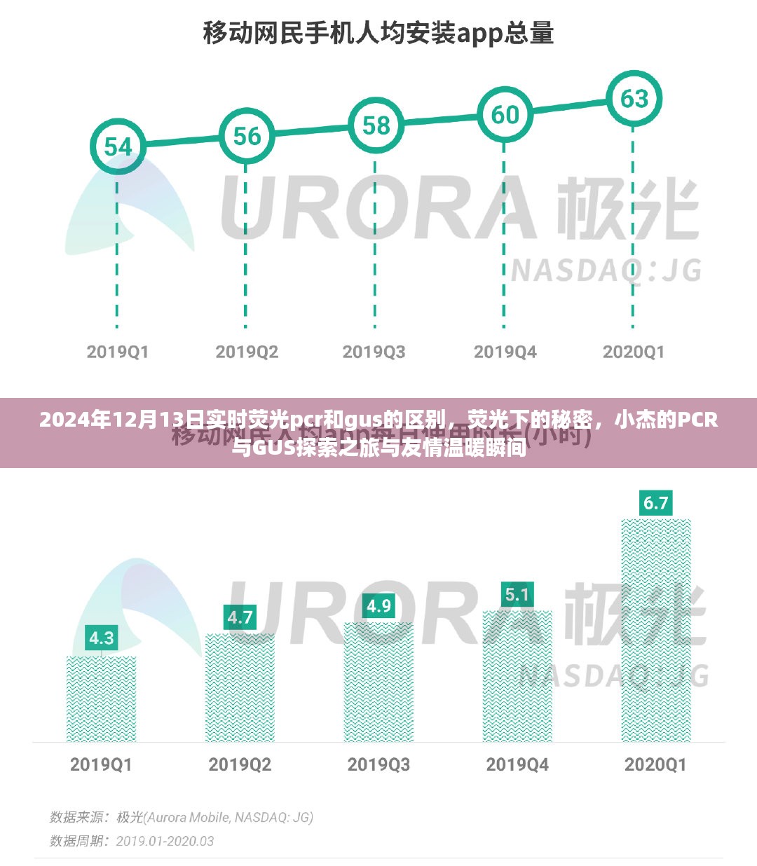 小杰揭秘，荧光PCR与GUS探索之旅，揭示实时荧光下的秘密与友情温暖瞬间