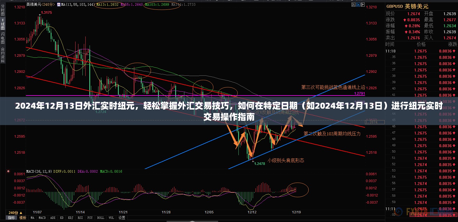 2024年纽元实时交易指南，掌握外汇交易技巧，轻松操作纽元交易