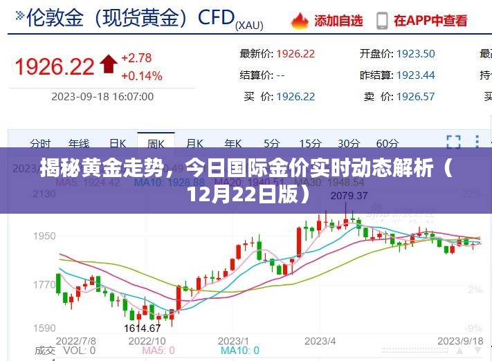 揭秘黄金走势，今日国际金价实时动态解析（最新报告）