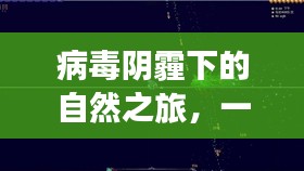 病毒阴霾下的自然之旅，心灵探险与实时病毒查杀的奇妙旅程