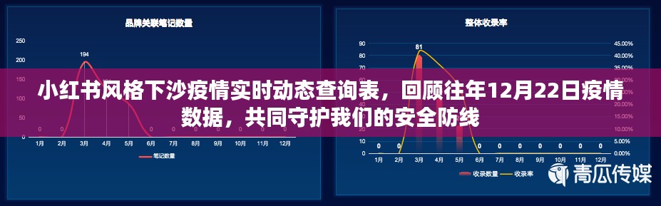 小红书风格下沙疫情实时动态查询表，回顾往年数据与共同守护安全防线