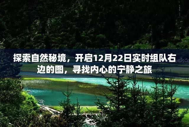 探索自然秘境，开启心灵宁静之旅的实时组队探险活动