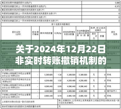 关于非实时转账撤销机制的深度评测与介绍，聚焦2024年12月22日更新解读