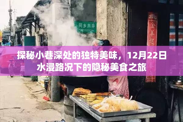 探秘小巷深处的隐秘美食之旅，水浸路况下的独特美味之旅