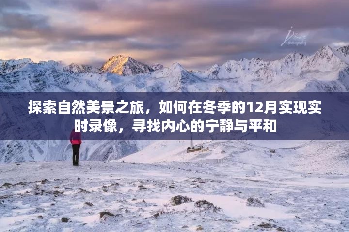 冬季探索之旅，自然美景的实时录像与内心的宁静寻找