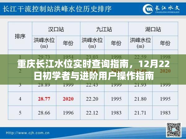 重庆长江水位实时查询指南，初学者与进阶用户操作指南（12月22日版）