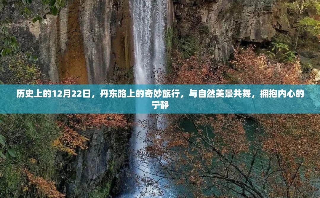 丹东路上的奇妙旅行，与自然共舞，拥抱内心的宁静——历史上的12月22日回忆