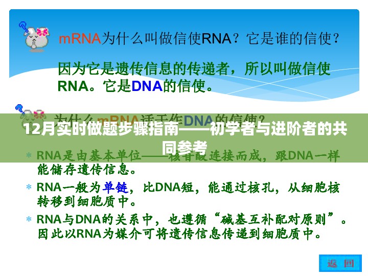 12月实时做题步骤指南，适合初学者与进阶者参考