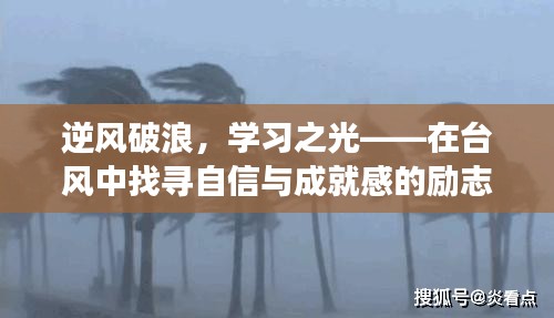 逆风破浪，学习之光，台风中的自信与成就感之旅