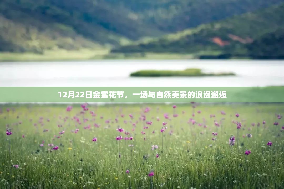 12月22日金雪花节，与自然美景的浪漫邂逅之旅