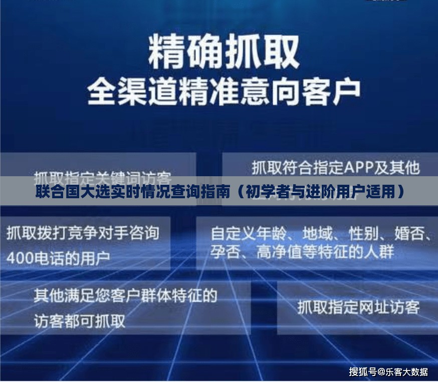 联合国大选实时查询指南，适合初学者与进阶用户参考