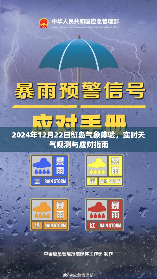 蟹岛气象体验，实时天气观测与应对指南（2024年12月22日）