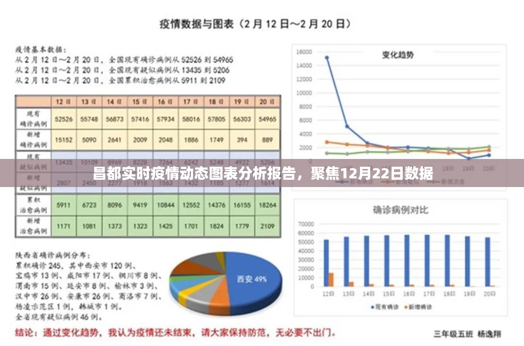 2024年12月24日 第5页