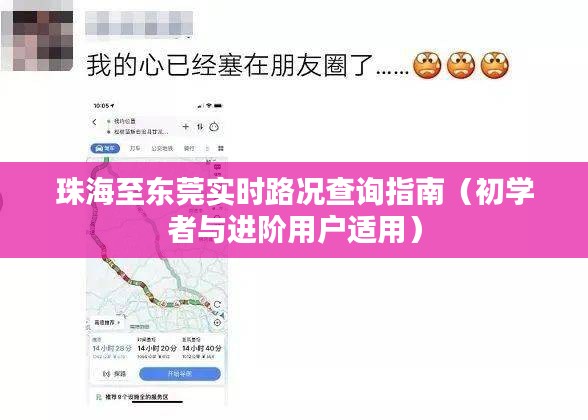 珠海至东莞实时路况查询指南，适合初学者与进阶用户参考