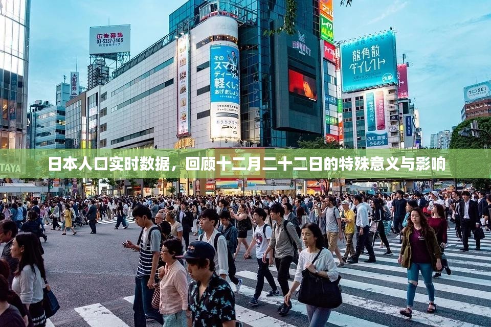 日本人口实时数据，十二月二十二日的特殊意义及其影响回顾