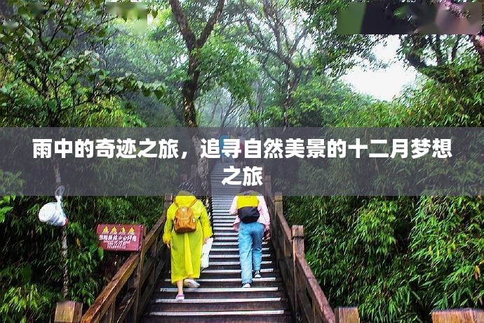 雨中的奇迹之旅，追寻自然美景的十二月梦幻之旅