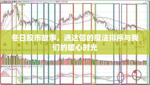 冬日股市故事，通达信的魔法排序与暖心投资时刻