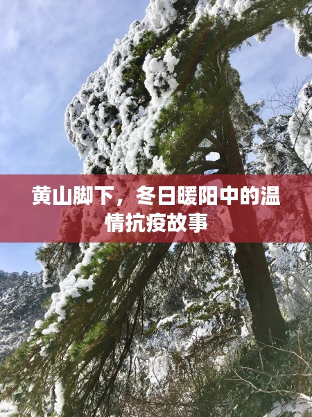 黄山脚下冬日暖阳中的抗疫温情故事