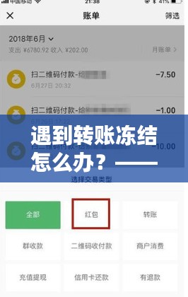 遇到转账冻结如何解决？实时转账解冻步骤指南