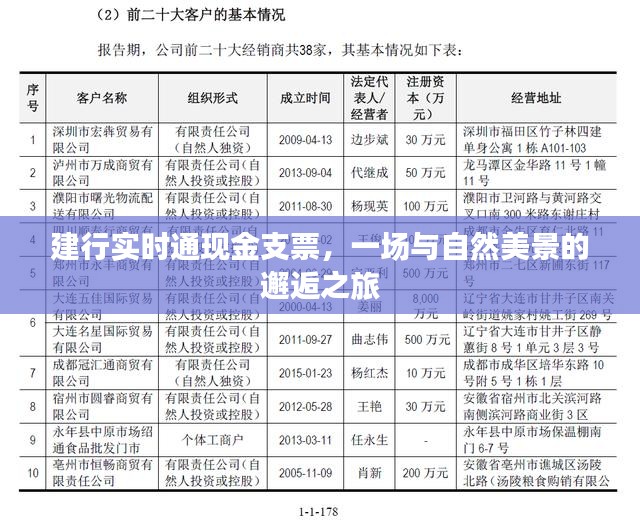 建行实时通现金支票，与自然美景的浪漫邂逅之旅