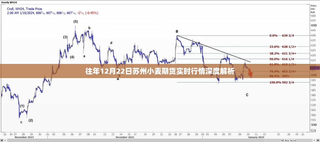 苏州小麦期货实时行情深度解析，历年12月22日市场走势回顾与预测