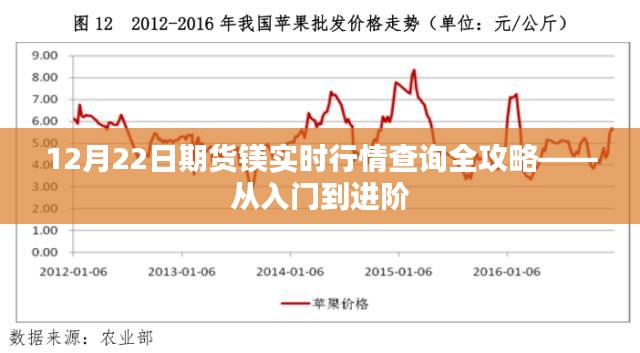 12月22日期货镁行情查询攻略，入门到进阶全解析